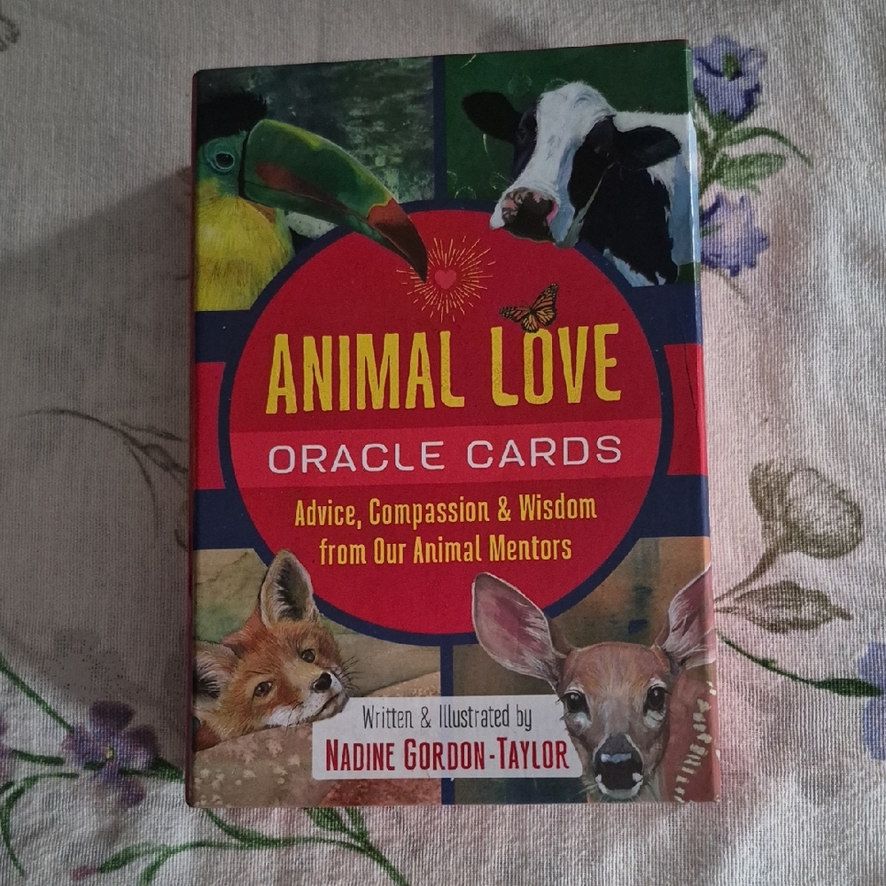 Animal Love Oracle Cards by - Multicolor